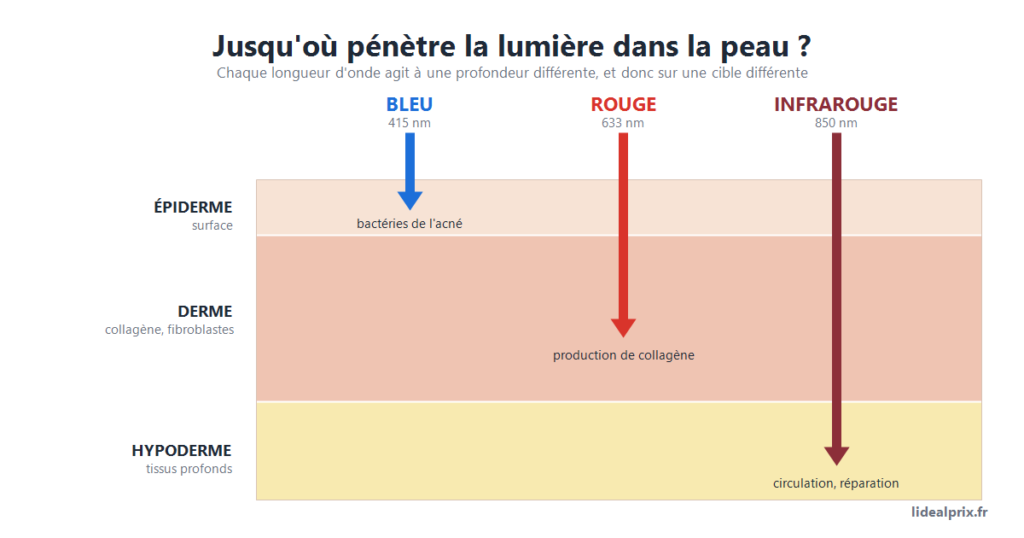 Masque LED visage : profondeur de pénétration de la lumière dans la peau, bleu 415 nm dans l'épiderme, rouge 633 nm dans le derme, infrarouge 850 nm dans l'hypoderme